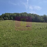 Teren intravilan de vanzare 2500 mp in Banesti